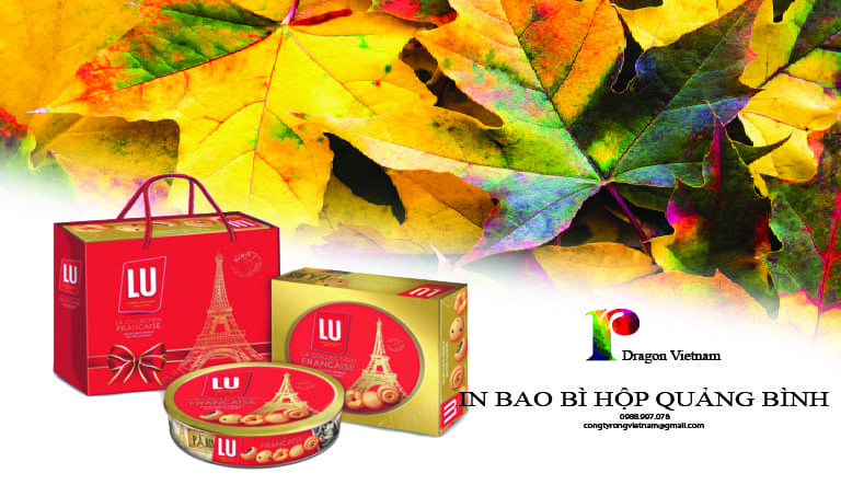 in bao bì hộp quảng bình