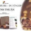 in tờ gấp bình thuận