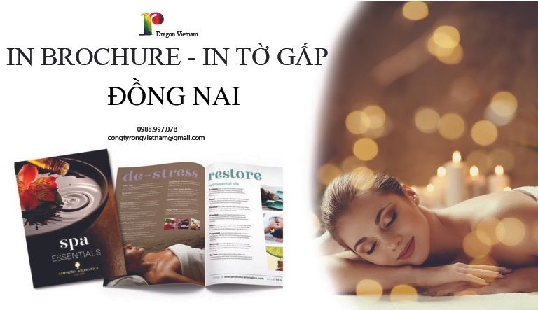 in tờ gấp đồng nai - in tờ rơi đồng nai - in brochure đồng nai