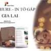 in tờ gấp gia lai