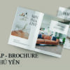 in tờ gấp phú yên - in brochure phú yên