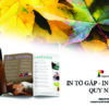 in tờ gấp quy nhơn - in brochure quy nhơn