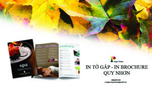 in tờ gấp quy nhơn - in brochure quy nhơn