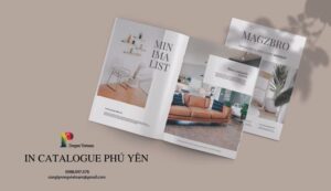 in catalogue tại Phú Yên