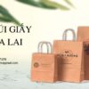 in túi giấy tại Gia Lai