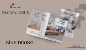 in catalogue Bình Dương